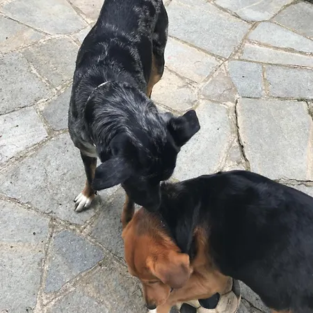 Da Felicia Апартаменты